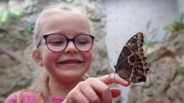 Papilonia Liberec (67)